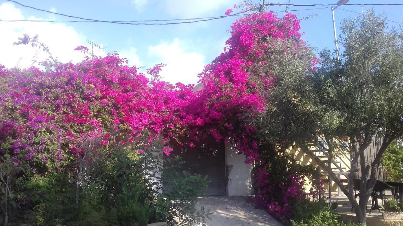 Casa Los Cerezos Villamartin  Eksteriør billede
